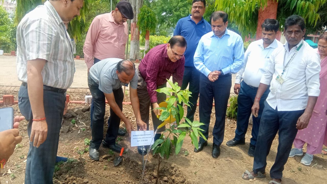 दीघा के खास दुधिया मालदह आम को मिलेगा GI टैग, दूसरे जिलों में भी होगा रोपण