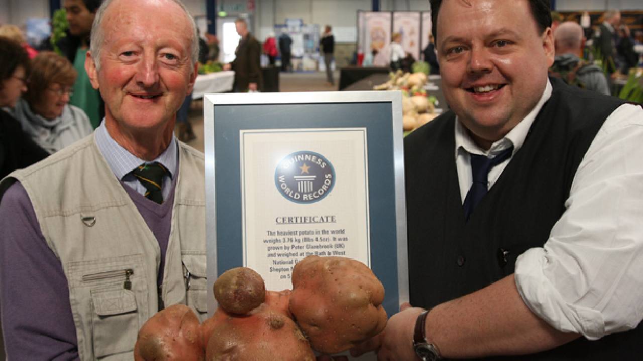 International Potato Day: इतना भारी आलू पहले कभी नहीं देखा होगा! गिनीज बुक में दर्ज है इसका नाम