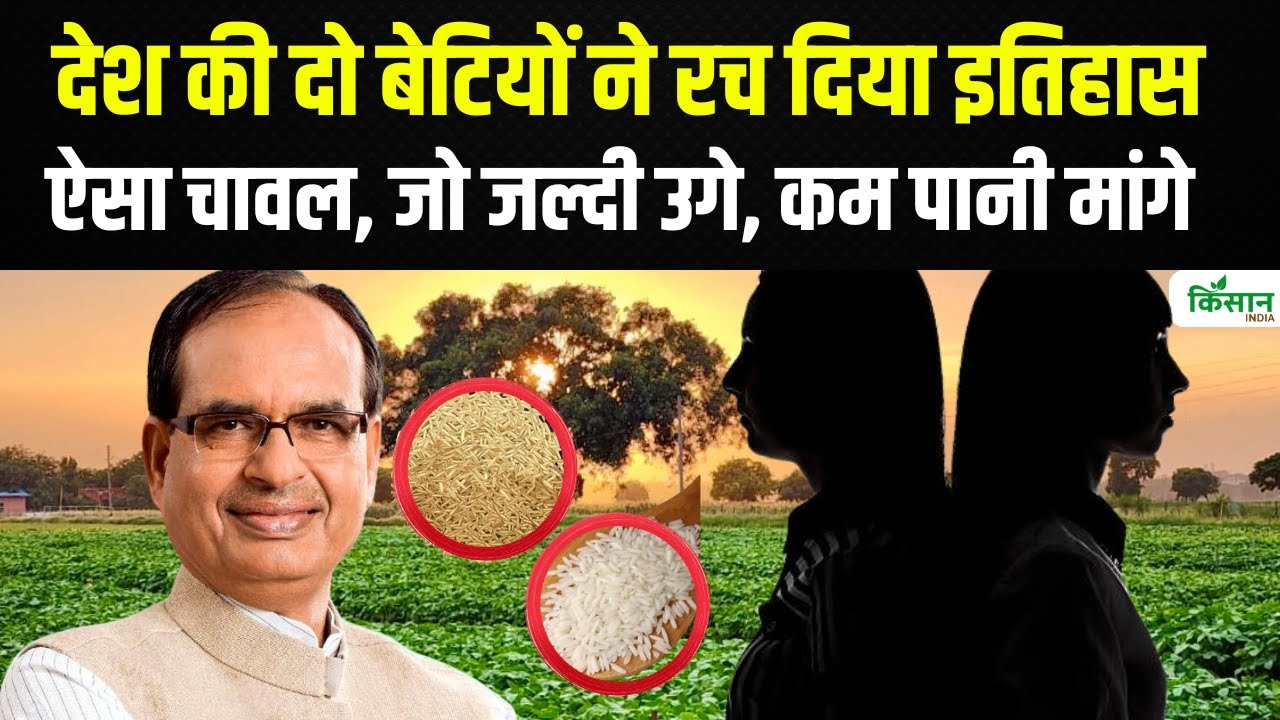 कम पानी में उगता है यह चावल, जानें दो महिलाओं ने कैसे किया कमाल