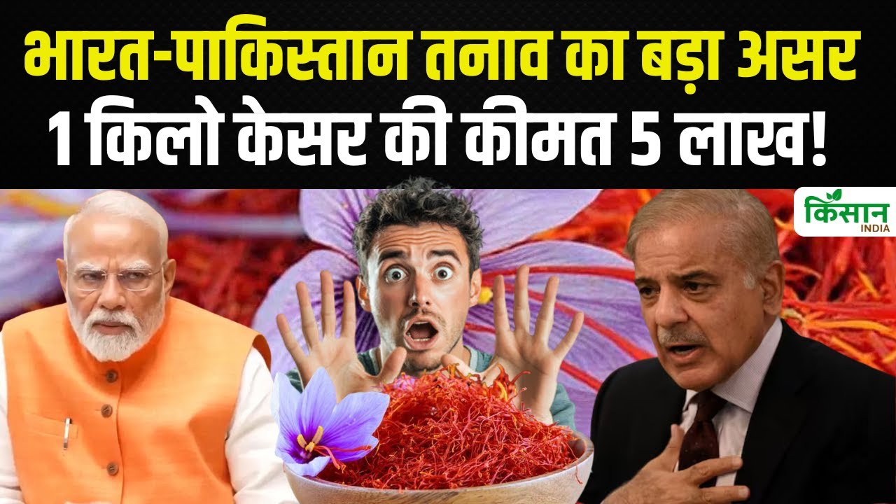 बॉर्डर पर तनाव का महंगाई पर असर, सोने से भी ज्यादा कीमती हुआ केसर