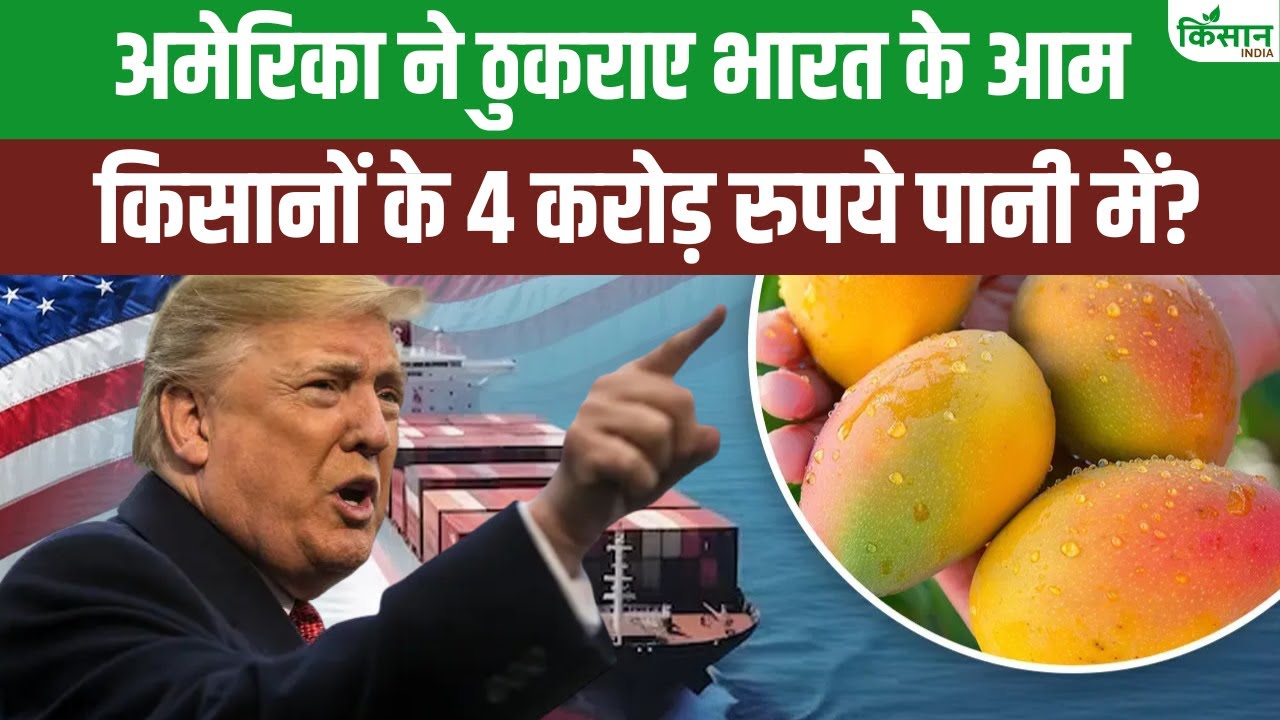 अमेरिका ने भारत के आमों को किया ‘रिजेक्ट’, किसानों को 4 करोड़ का नुकसान