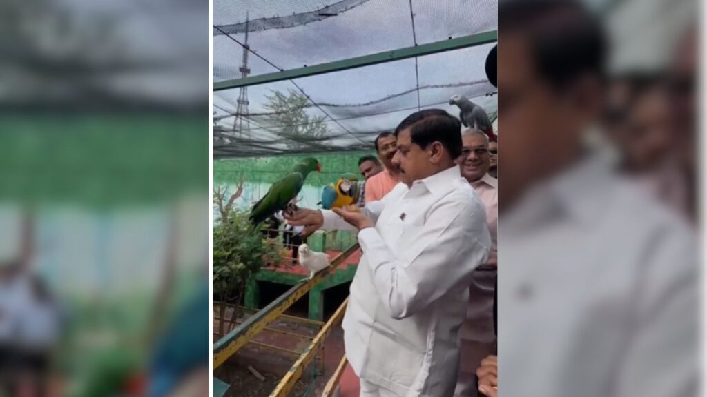 मुख्यमंत्री डॉ. यादव ने चिड़ियाघर स्थित बर्ड पार्क का भी भ्रमण किया, जहां उन्होंने विभिन्न रंग-बिरंगे पक्षियों को निहारा और अपने हाथों से उन्हें दाना भी खिलाया.