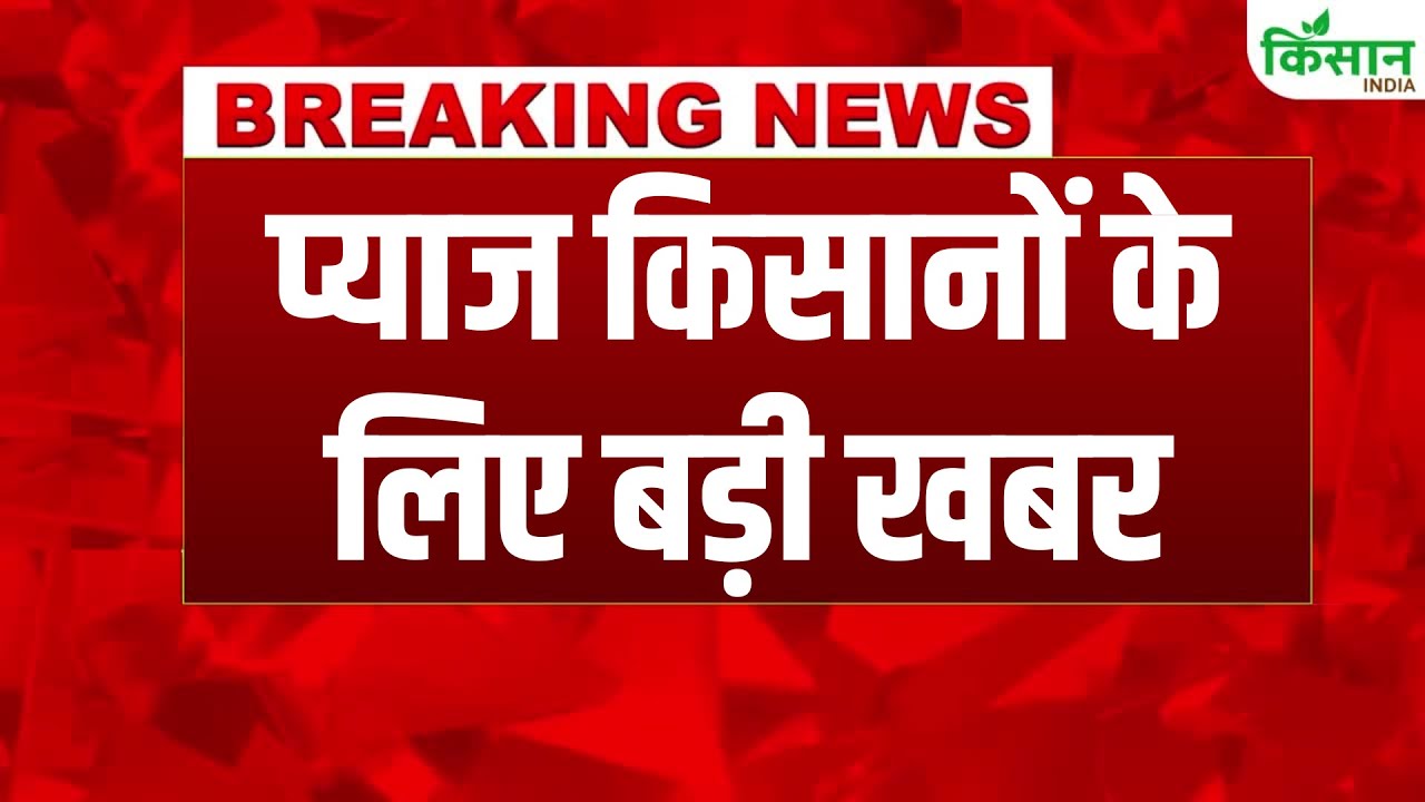 महाराष्ट्र में तेज बारिश से प्याज की फसल बर्बाद, किसानों ने उठाई मुआवजे की मांग
