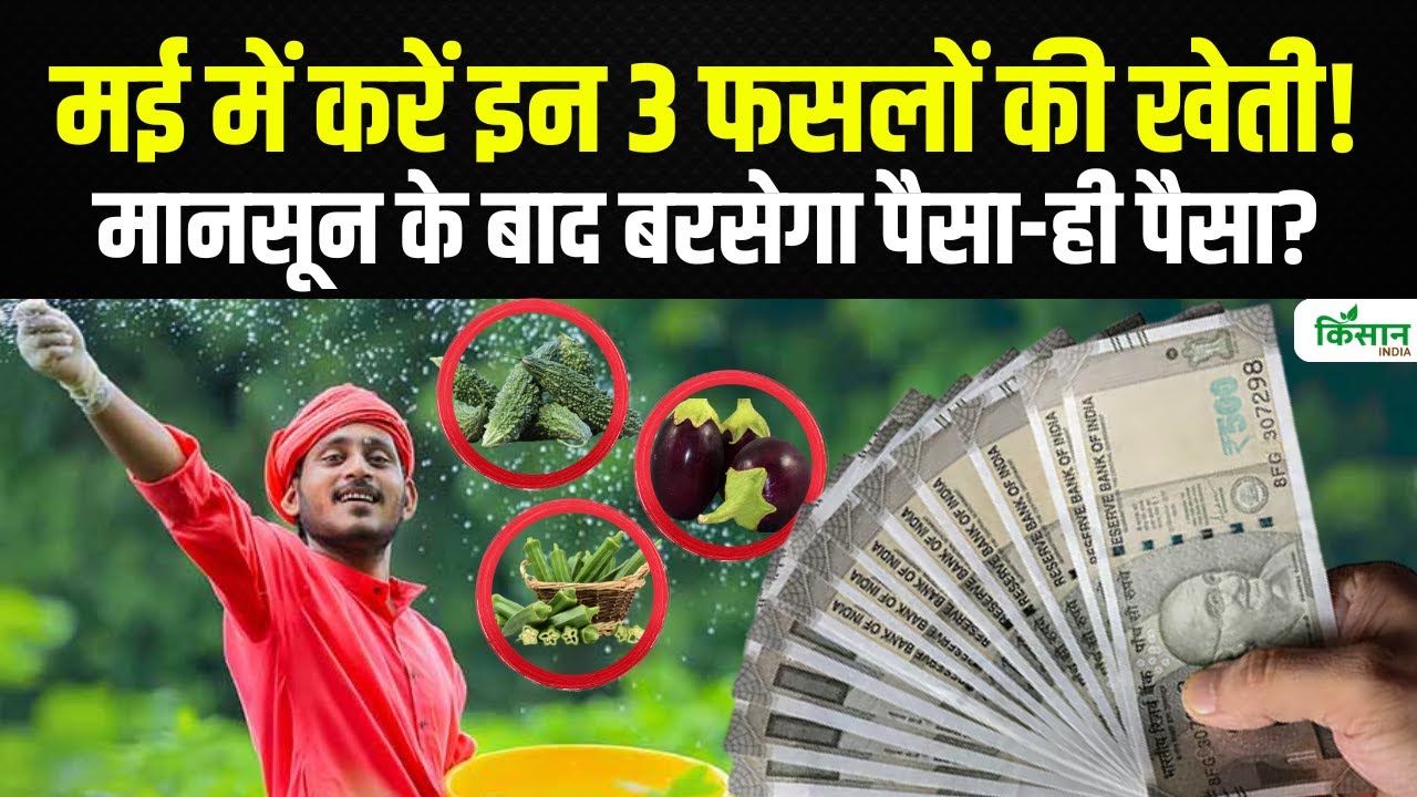 मई में करें इन फसलों की बुवाई, होगा तगड़ा मुनाफा