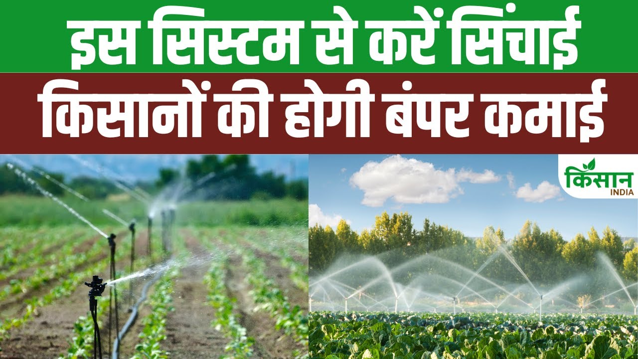 सिंचाई के लिए करें इस विधि का इस्तेमाल, होगी बंपर कमाई