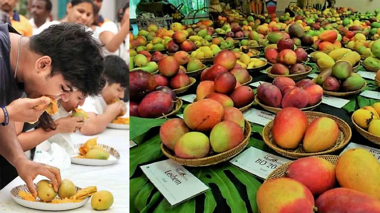 इस जून मुर्शिदाबाद बनेगा आमों की राजधानी, जानिए क्यों यह महोत्सव है खास?