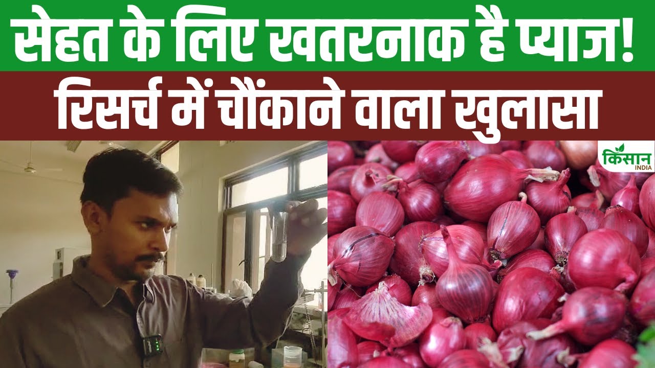 क्या आप भी प्लास्टिक से बना प्याज खा रहे हैं, हो सकता है आपकी सेहत के लिए खतरा