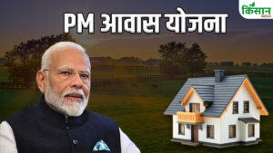 PM आवास का काम रुका तो घबराइए मत, मदद के लिए तुरंत इस नंबर पर कॉल करें PM आवास का काम रुका तो घबराइए मत, मदद के लिए तुरंत इस नंबर पर कॉल करें