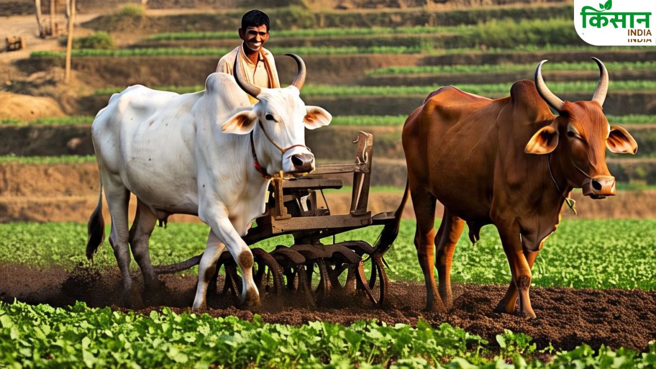 PM Kisan योजना में बहुत बड़ा घोटाला! UP में 1.31 करोड़ रुपये की हेराफेरी.. FIR दर्ज