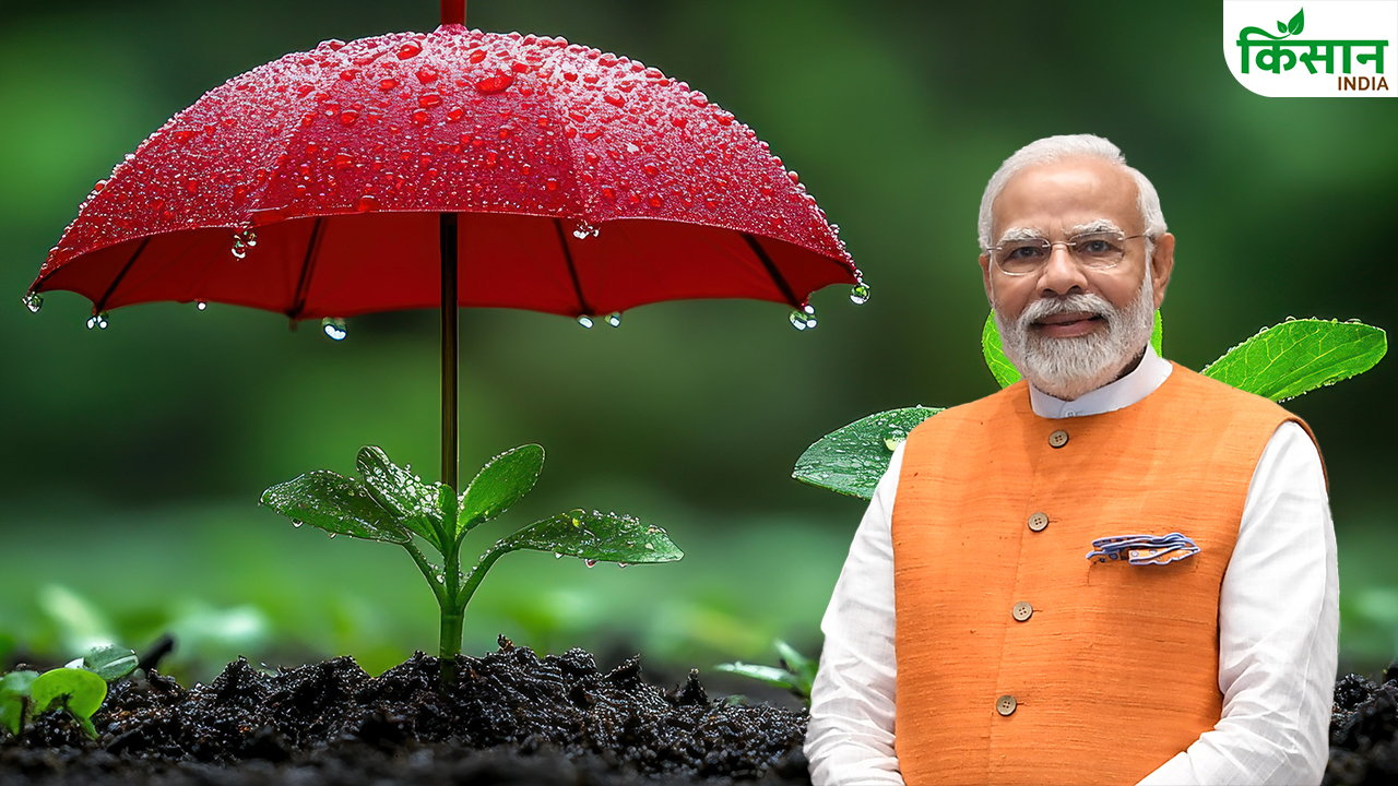 फसल, मौसम-जमीन से तय होता है बीमा प्रीमियम? फसल बीमा की पूरी जानकारी
