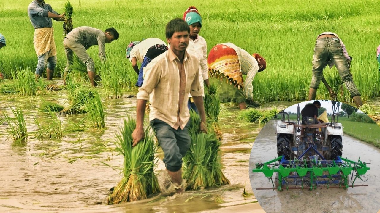 धान की खेती का गेमचेंजर, अब कम पानी में ज्यादा मुनाफा देगी ये मशीन