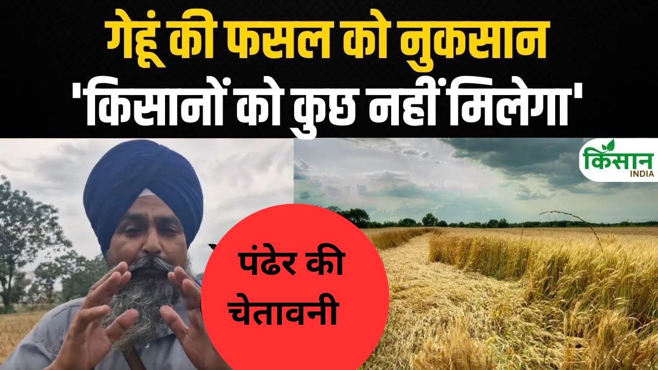 किसान नेता सरवन सिंह पंढेर ने की मुआवजे की मांग, डिमांड पूरी नहीं होने पर… करना पड़ेगा सामना