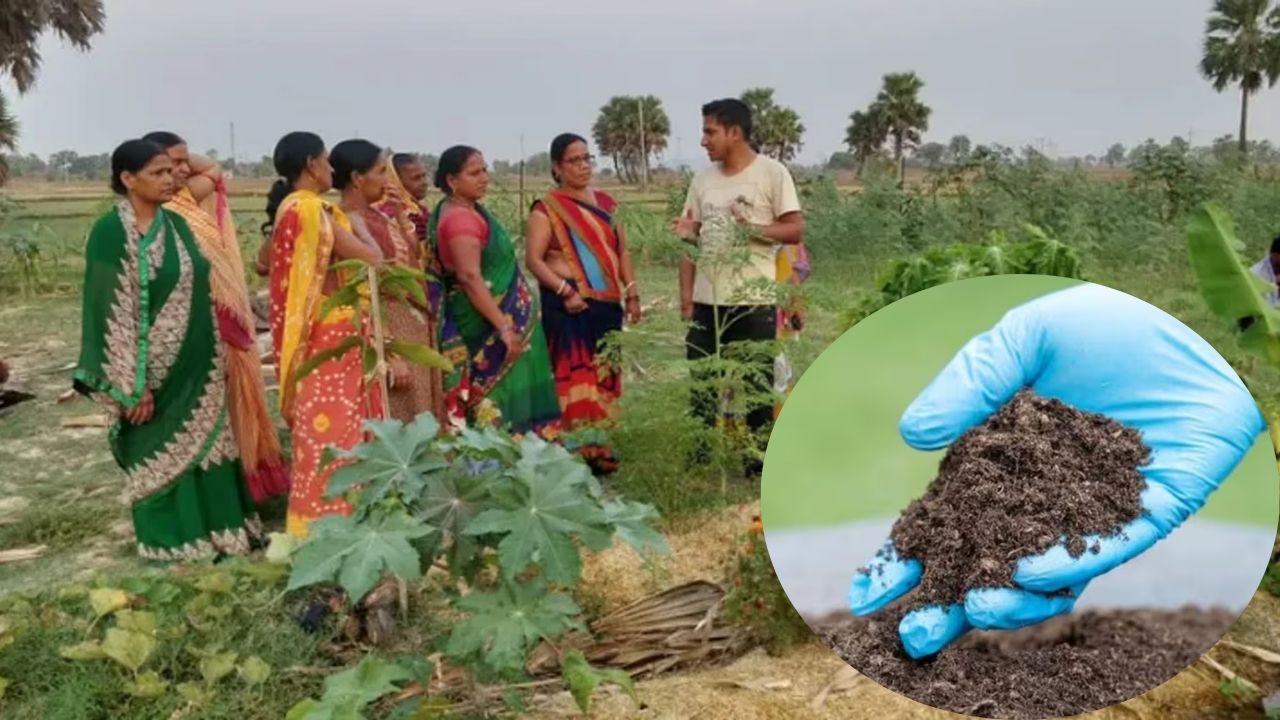 मिट्टी की ताकत बढ़ाने के लिए 5 मई से अभियान, 15 लाख मिट्टी के नमूनों की जांच होगी