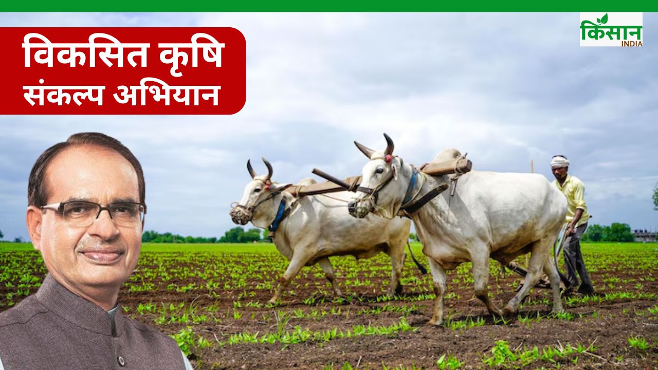 अब वैज्ञानिक लैब में नहीं खेत में मिलेंगे.. एक दिन में 2 गांव कवर करेंगे, 20 राज्यों में जाएंगे कृषि मंत्री