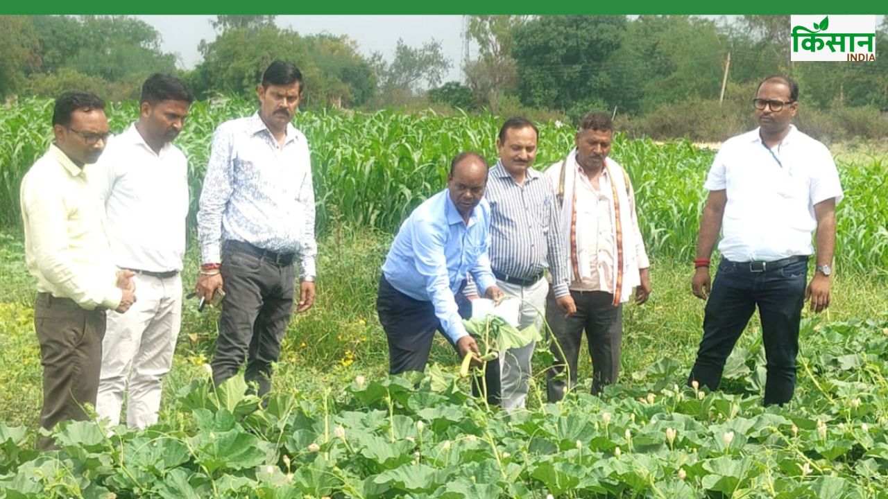 कृषि संकल्प अभियान के पहले दिन खेतों में उतरे वैज्ञानिक, किसानों को तकनीक बताई