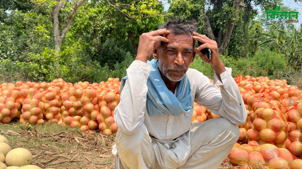 बारिश ने बर्बाद की खरबूजे की फसल, अब 5 लाख का कर्जा कैसे भरेंगे किसान राम रत्न