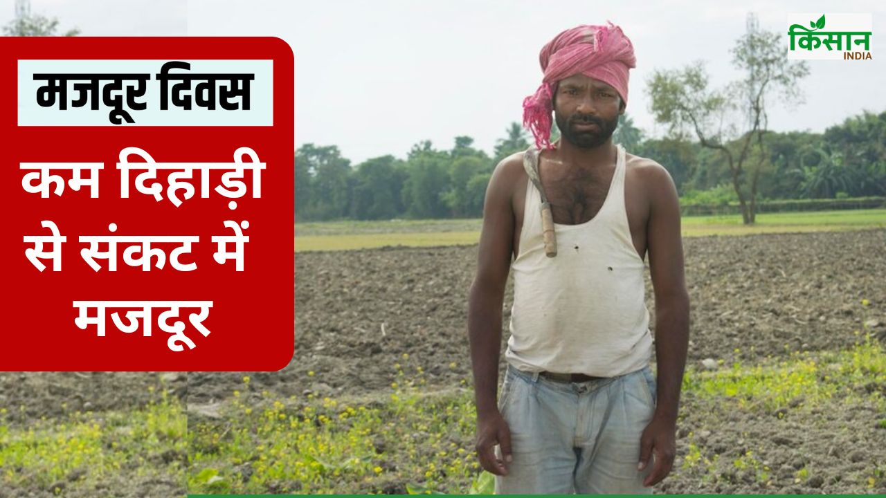 खर्च के मुकाबले कम मजदूरी से मुश्किल में श्रमिक, जानिए किस राज्य में कितनी दिहाड़ी