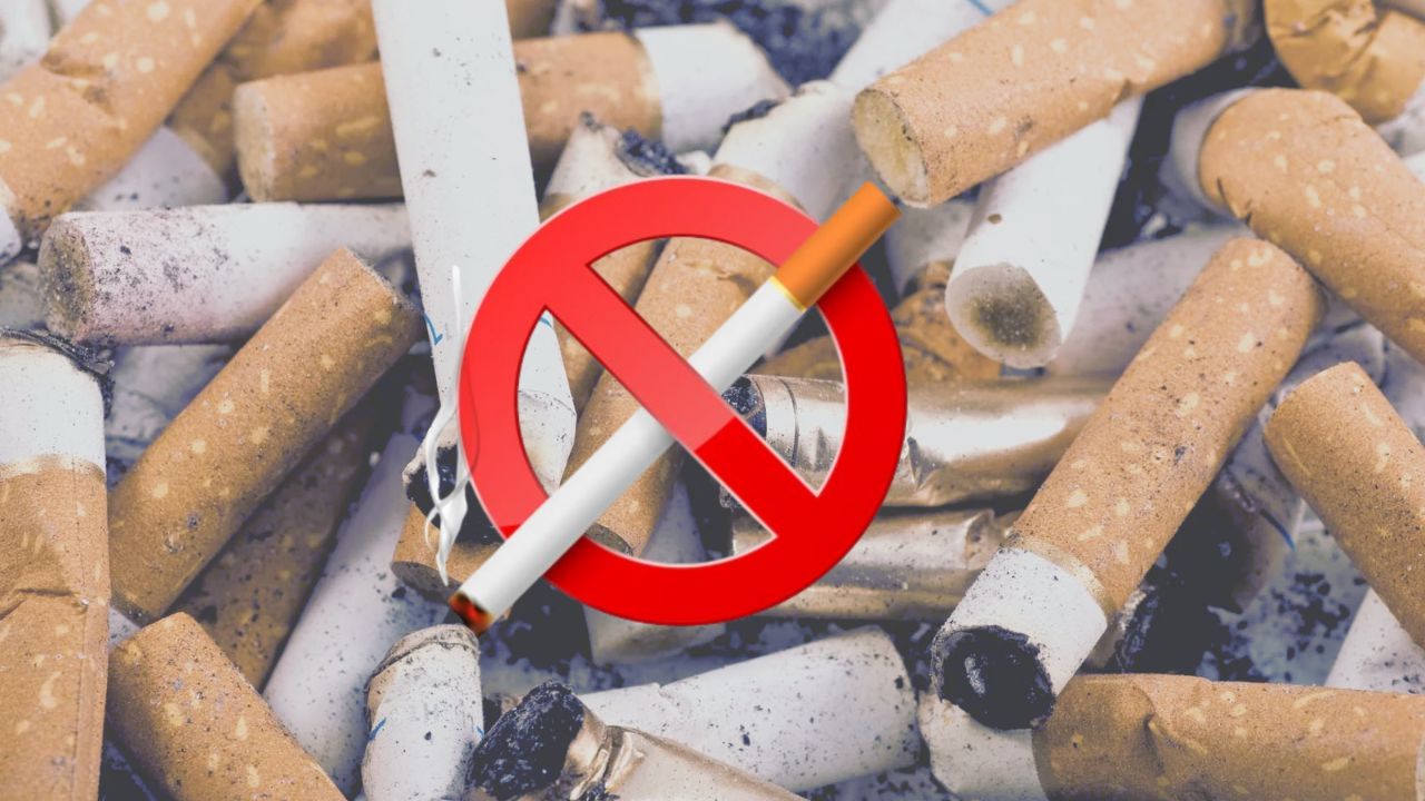 World No Tobacco Day 2025: धूम्रपान से भी ज्यादा खतरनाक है ये आदत, युवाओं को बना रहा शिकार!