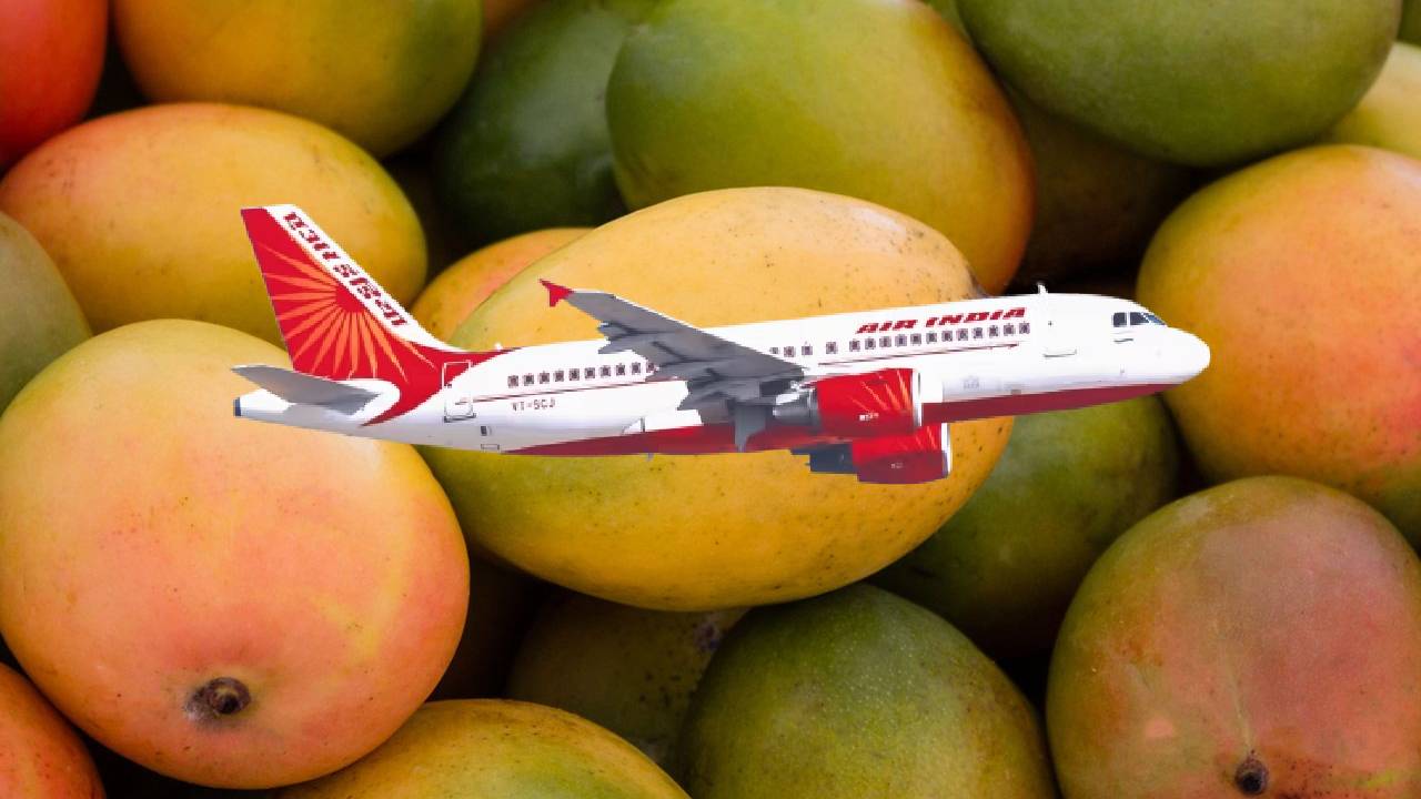 एयर इंडिया ने आमों को दिए पंख, एक महीने में 1,000 टन से ज्यादा निर्यात