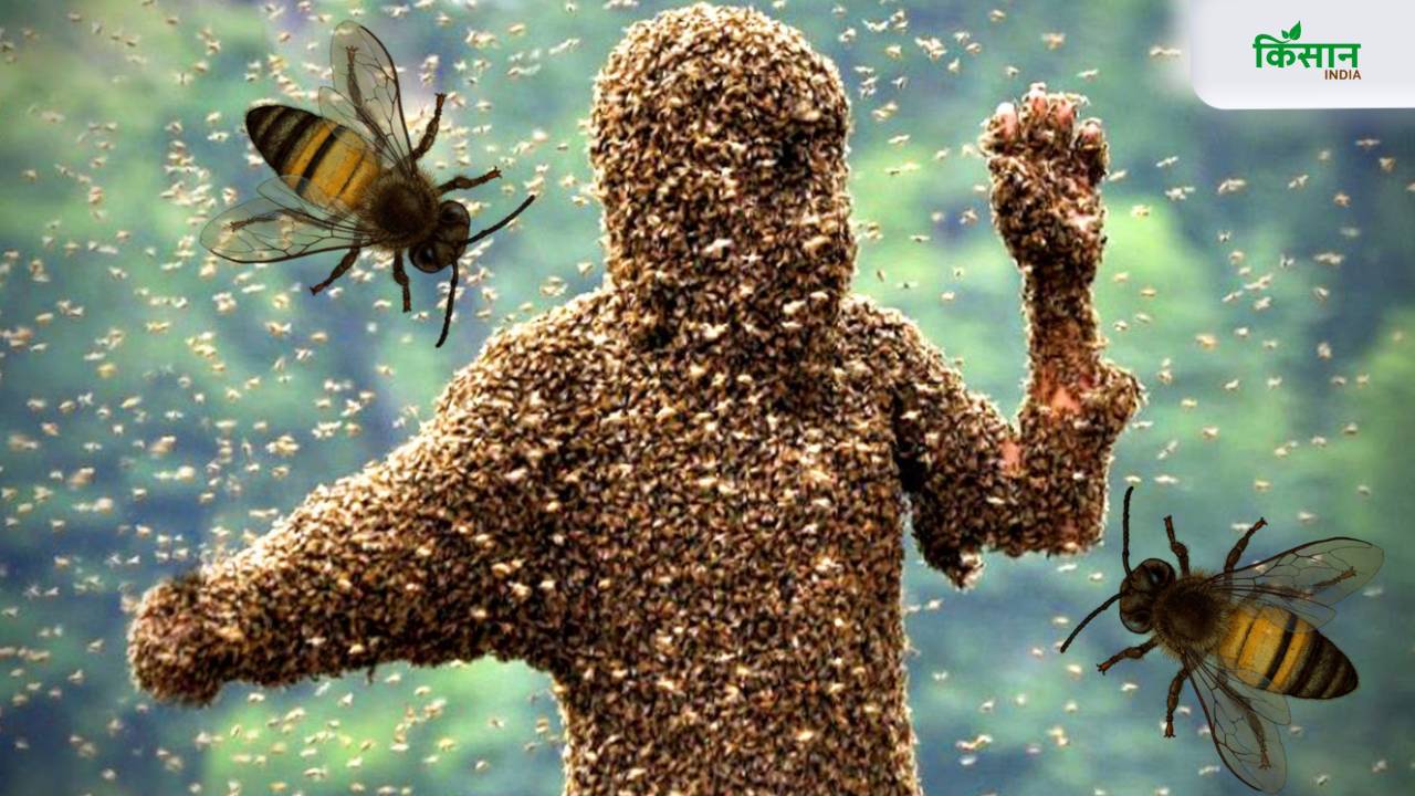 अगर मधुमक्खियां करें हमला, तो क्या करें? जानिए बचाव के आसान तरीके