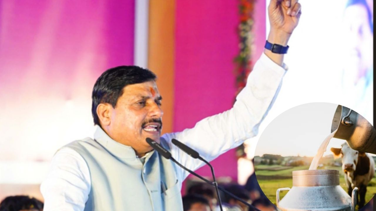 सबसे बड़ा दूध उत्पादक बनने की ओर मध्य प्रदेश, किसानों की डेयरी से दूध खरीदेगी सरकार