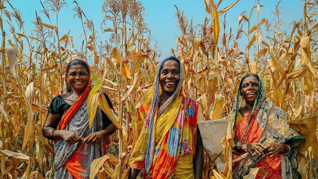 ओडिशा सरकार ने किसानों के लिए की बड़ी पहल, चार निगमों के साथ किए अहम समझौते