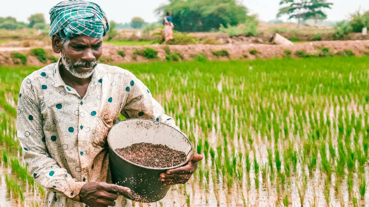 जून में खाद की मांग चरम पर, जानिए किस उर्वरक की सप्लाई में आई कमी