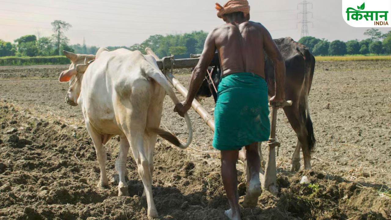 UP में किसानों से संवाद करेगी वैज्ञानिकों की टीम, गांव-गांव घूमकर देगी इसकी जानकारी