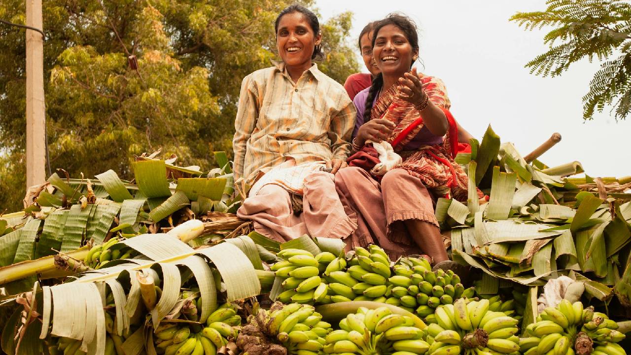 फलों और सब्जियों की खेती में बंपर उछाल, किसानों के लिए वरदान बनी योगी सरकार