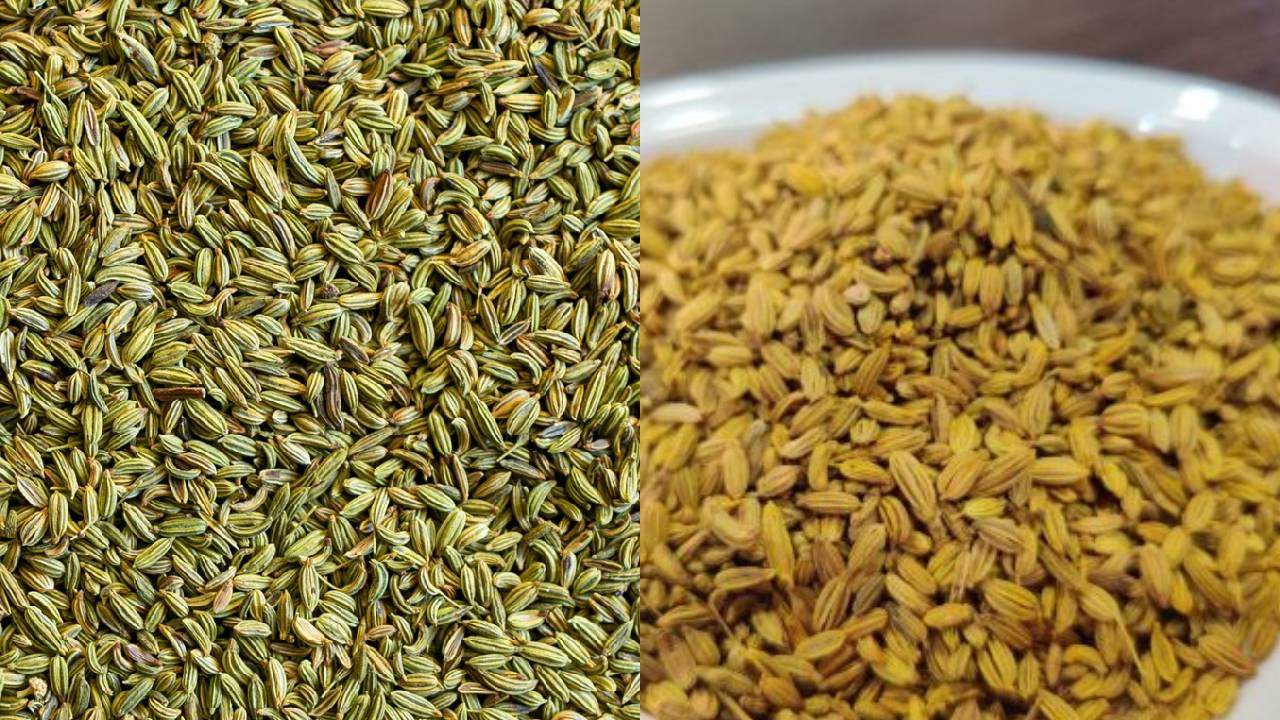 सौंफ की फसल को पीला होने से रोकें, किसान जरूर पढ़ें ये उपाय