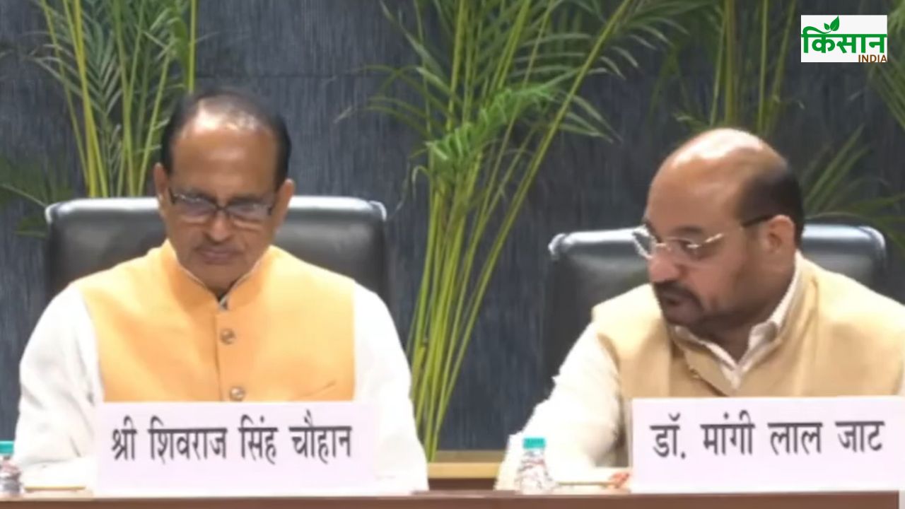 दालों की खेती बढ़ाने के लिए धान का एरिया घटाने की तैयारी, कृषि मंत्री ने बताया फॉर्मूला