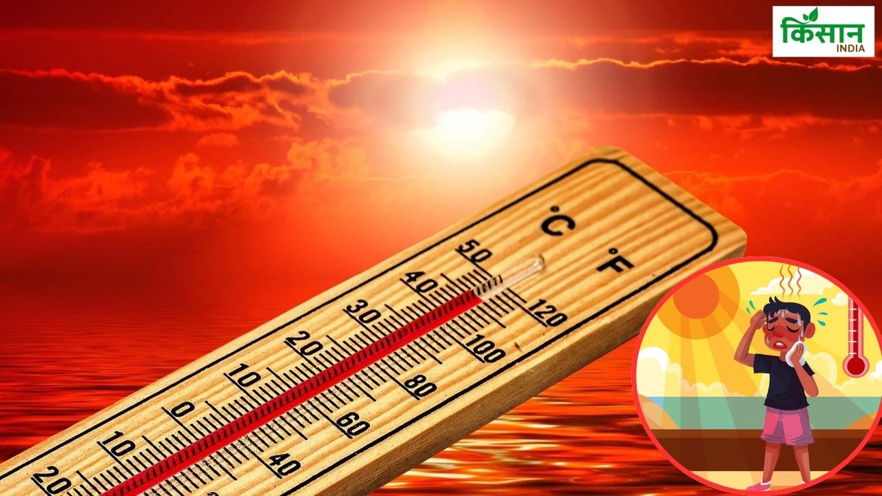 गर्मी और लू से बचाएंगे ये 10 तरीके, हीटस्ट्रोक के खतरे से भी बचे रहेंगे  