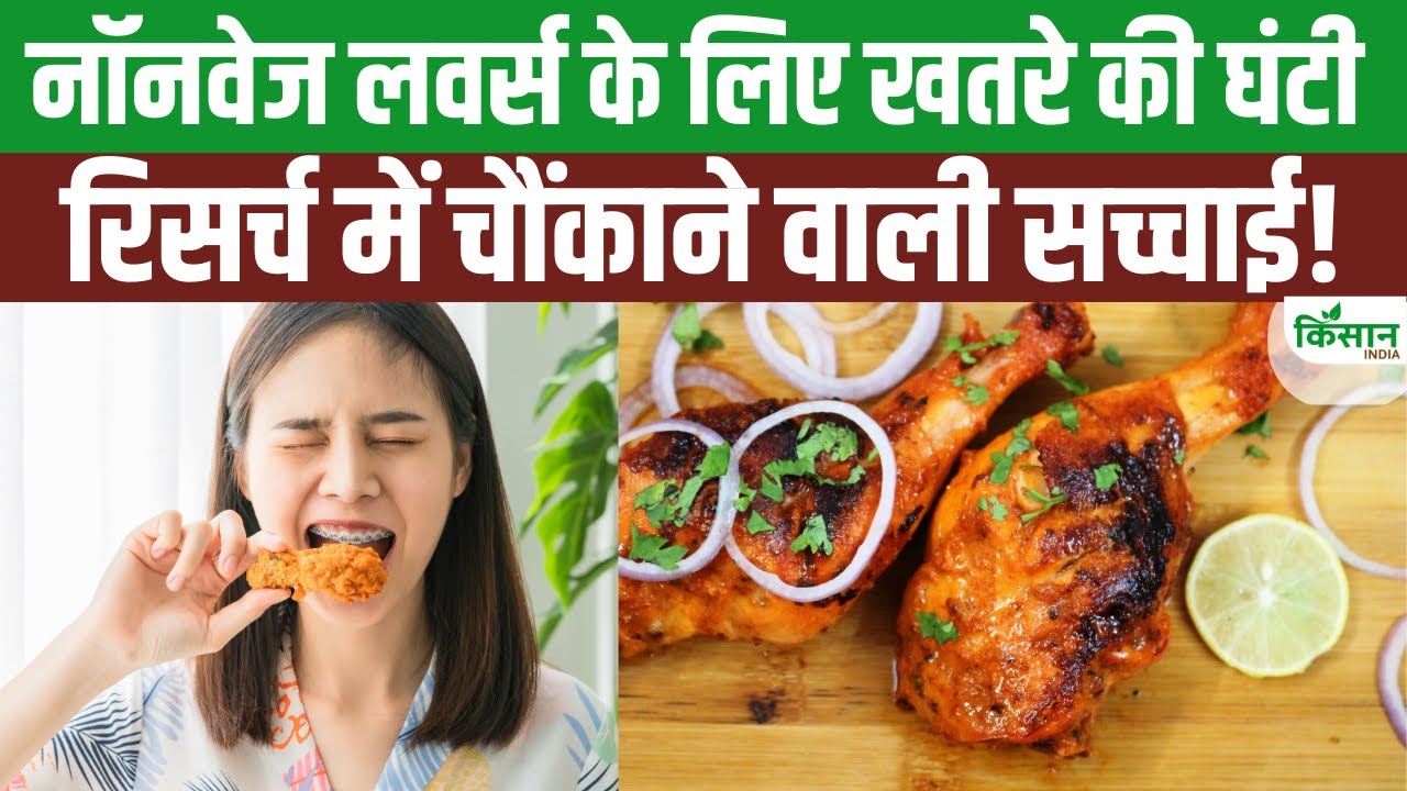 Health Tips: चिकन के शौकीन हैं तो हो जाएं सावधान, आपको हो सकती हैं ये बीमारियां
