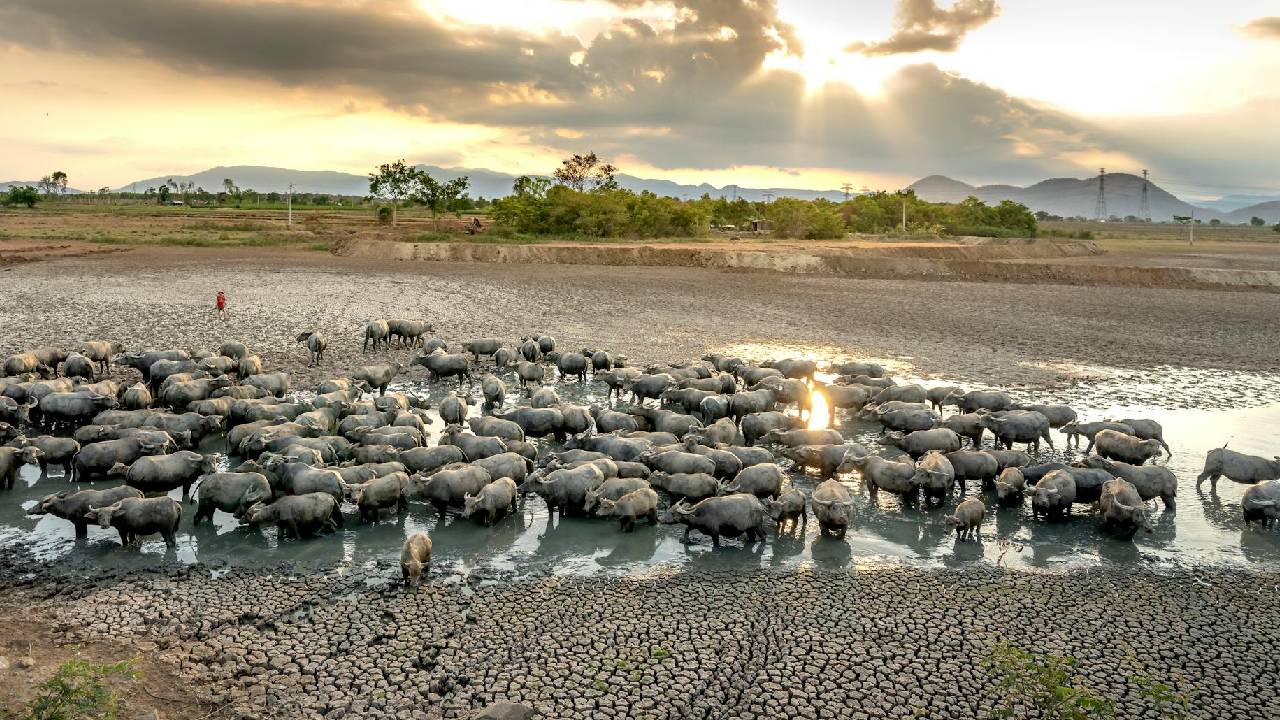 कहां सूख रहे हैं बांध, कहां है राहत? जानिए देश के जलाशयों की ताजा रिपोर्ट