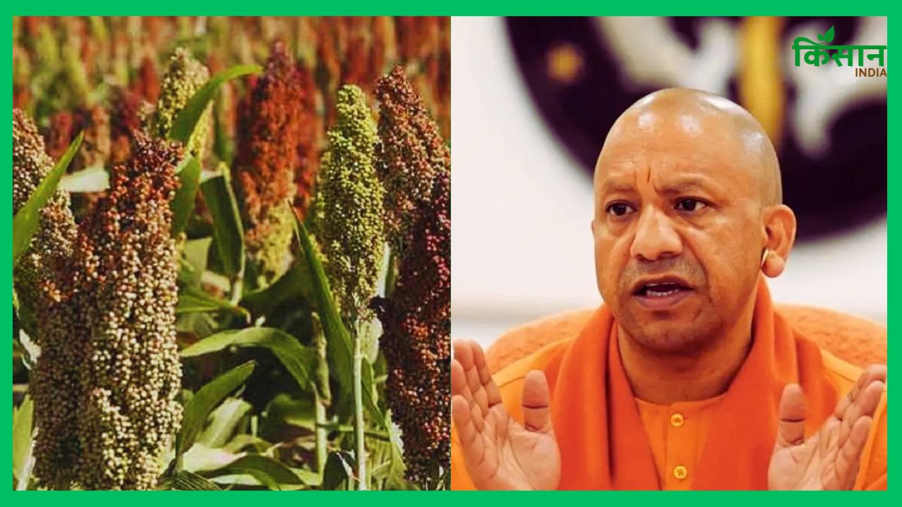 अगेती-पछेती बुवाई के लिए नए बीज तैयार होंगे, किसानों से श्रीअन्न खरीद बढ़ाने की घोषणा