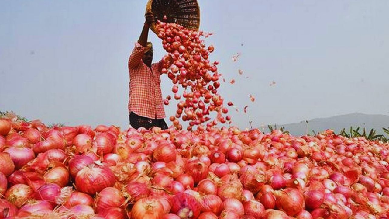 प्याज के भाव पर लगेगा ब्रेक, सरकार बनाएगी आधुनिक भंडारण केंद्र