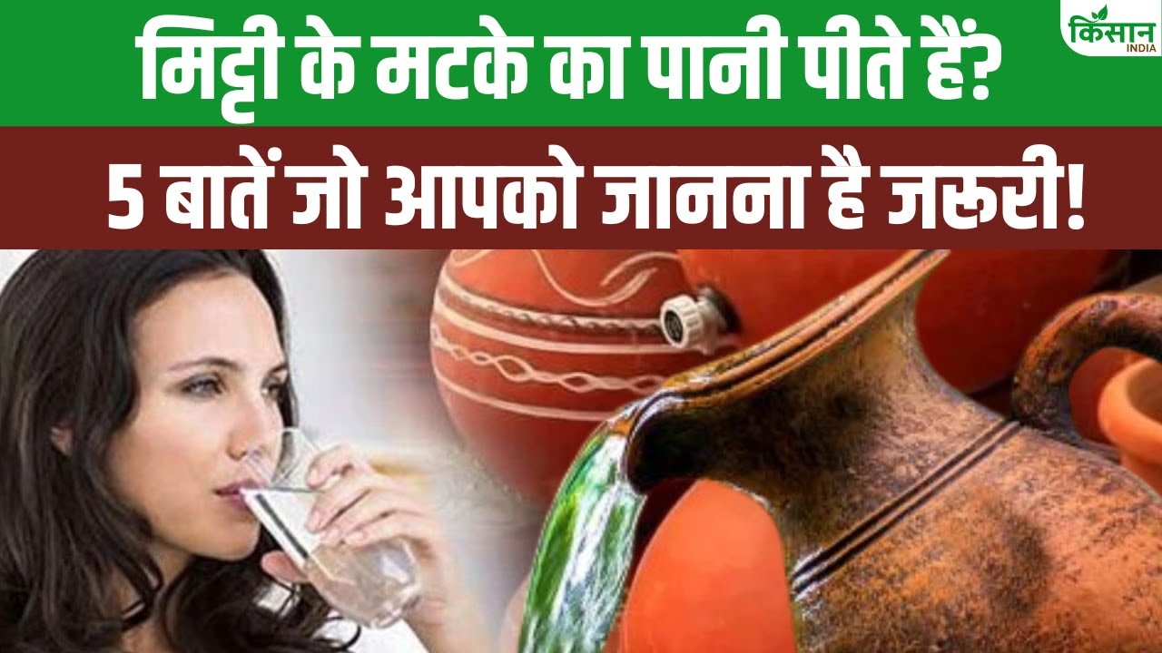 मटके का पानी पीने से पहले बरतें ये सावधानियां, सेहत को हो सकता है नुकसान