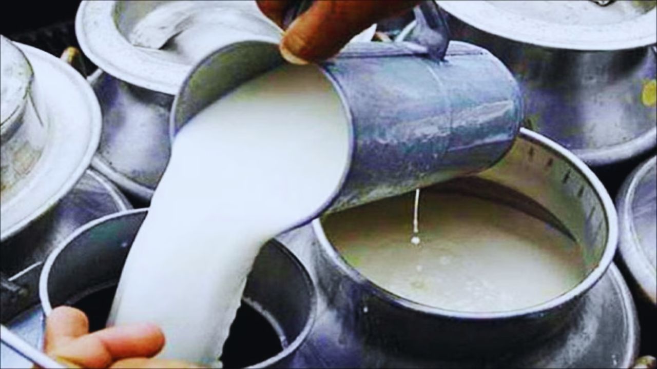 दूध सेक्टर में राजस्थान का कमाल, 400 करोड़ मुनाफा और 10 हजार करोड़ का टर्नओवर