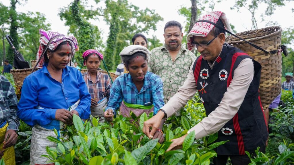 चाय बागान में काम कर रहीं महिलाओं के साथ बातचीत करते हुए उन्होंने यह भी भरोसा दिलाया कि वे इनके जीवन की स्थिरता और आर्थिक सशक्तिकरण के लिए हरसंभव प्रयास करेंगे. शिवराज सिंह ने कहा कि इन श्रमिक बहनों की भूमिका न केवल चाय के उत्पादन तक सीमित है, बल्कि वे भारत की आर्थिक और सामाजिक मजबूती की भी अहम कड़ी भी हैं.