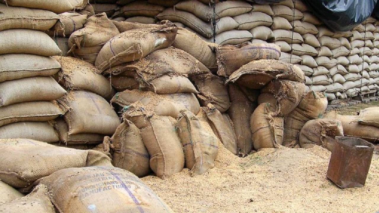 सरकार ने गेहूं पर 2026 तक स्टॉक लिमिट लगाई, व्यापारियों को 15 दिन में घटाना होगा स्टॉक