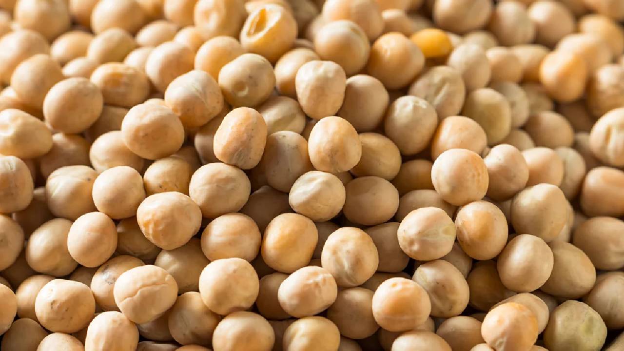 अब सस्ती दालें नहीं बिगाड़ेंगी किसानों का खेल, सीएसीपी ने की ये बड़ी मांग