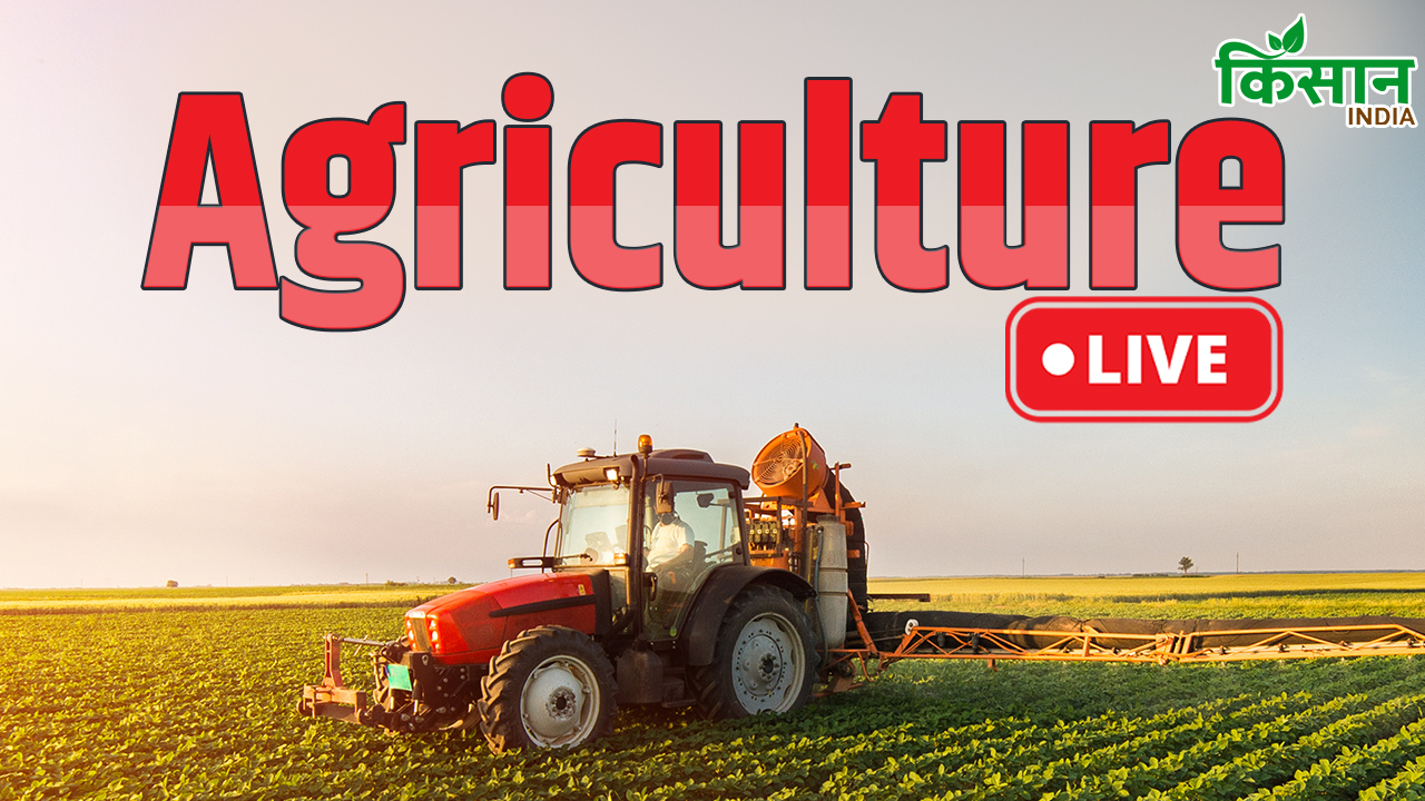 15 अगस्त तक मछली पकड़ने पर प्रतिबंध, उल्लंघन करने पर 1 साल की जेल होगी