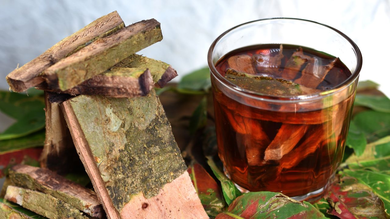 आयुर्वेद की ये चमत्कारी औषधि करती है गजब कमाल! हड्डियां से लेकर पेट तक, एक्सपर्ट ने बताए फायदे