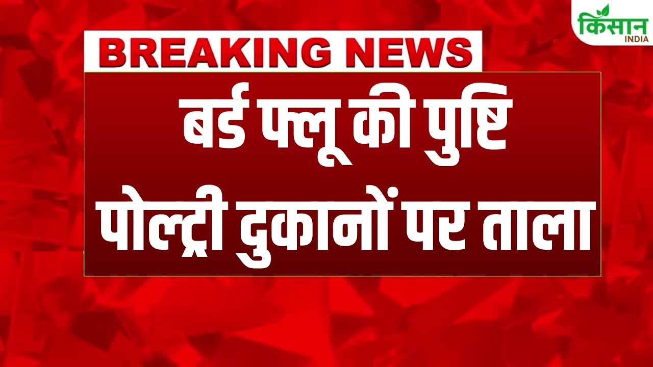 गोरखपुर में पोल्ट्री फॉर्म किए गए बंद, 5 इलाकों में बर्ड फ्लू की पुष्टि