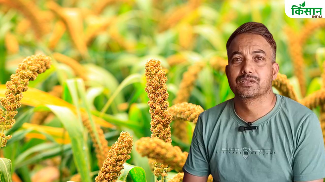 बाजरा से बने नमकीन-मट्ठी और बिस्किट की विदेशों में खूब मांग, चूरू के किसानों की खुली किस्मत