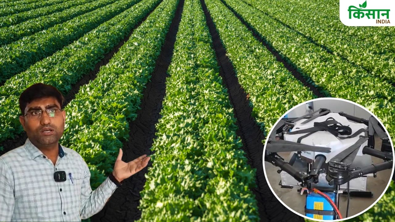 फसल बीमारियों को ड्रोन से कंट्रोल कर रहे किसान, कपास-सोयाबीन पर सटीक रिजल्ट मिले