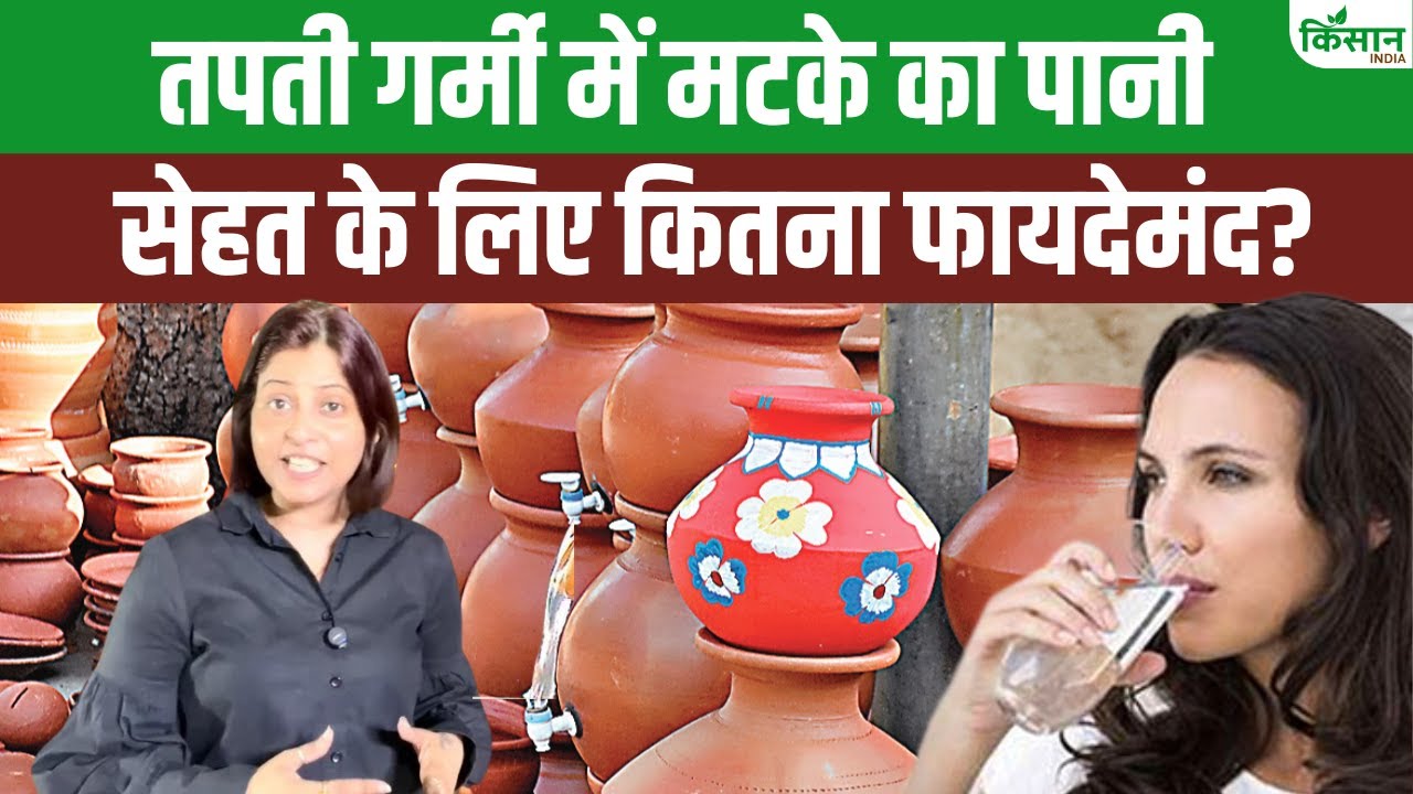 मिट्टी के बर्तनों के व्यवसाय को मिल रही नई दिशा, जानिए इनमें पकने वाला खाना कितना फायदेमंद