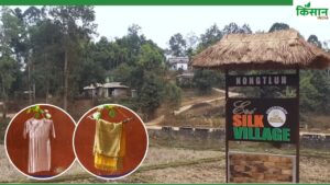 Eri Silk: जीआई टैग पा चुके अहिंसा सिल्क को पीएम ने बताया धरोहर, जानिए क्यों है खास Eri Silk: जीआई टैग पा चुके अहिंसा सिल्क को पीएम ने बताया धरोहर, जानिए क्यों है खास