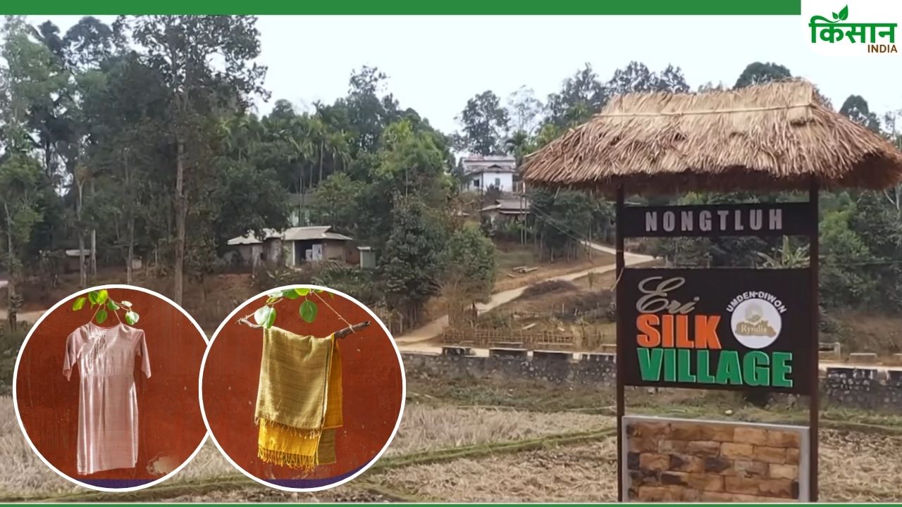 Eri Silk: जीआई टैग पा चुके अहिंसा सिल्क को पीएम ने बताया धरोहर, जानिए क्यों है खास