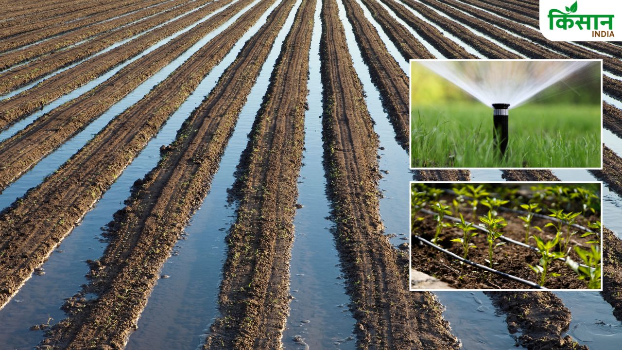 Smart Irrigation: स्मार्ट तरीके से खेतों में हो रही सिंचाई, 2 करोड़ से ज्यादा किसान उठा रहे लाभ
